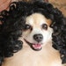 see more listings in the Wigs section