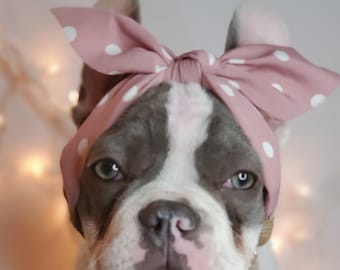 Dog headbands Clearance