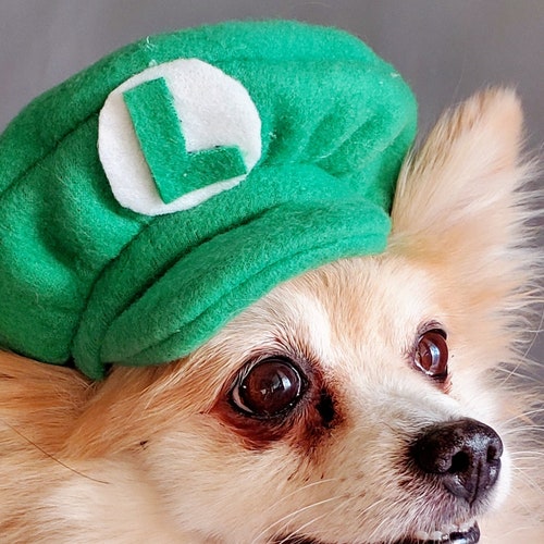 luigi dog costume