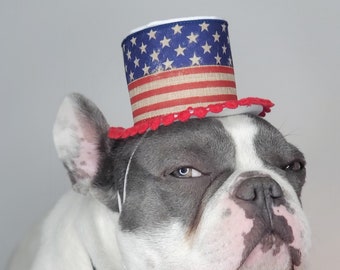 4 Juli Hut für Haustiere / Amerikanische Flagge Hut für Haustier / USA Patriotic Day Top Hat