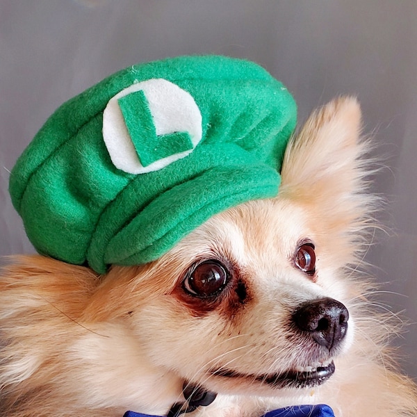 Luigi costume hat green  color  for dog or cat  Small animal Doll / Dog costume/Halloween dog and cat costume/