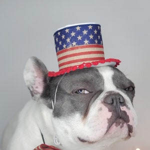 4  July Hat for pets/American  flag hat for pet/  USA Patriotic Day Top Hat