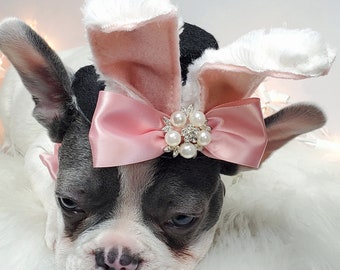 Set for your pet Easter Bunny hat  and bow set for dog or cat