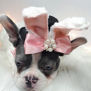 Set for your pet Easter Bunny hat  and bow set for dog or cat
