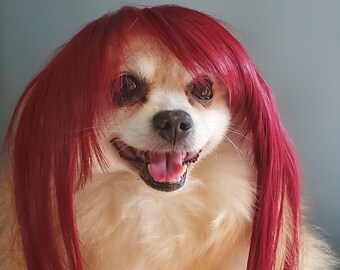 Pet   wig  for dog or cat /Halloween  costume wig for dogs/