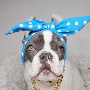 Headband  for dog or cat /headband for dogs/Pet gift/Frenchie costume / Puppy gift Costume for dogs /Cat gift /