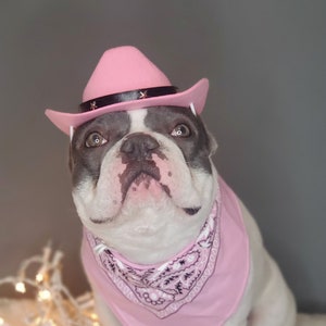 Cowboys hat for large dog /Dog costume /Frenchies cowboy hat / style # 1