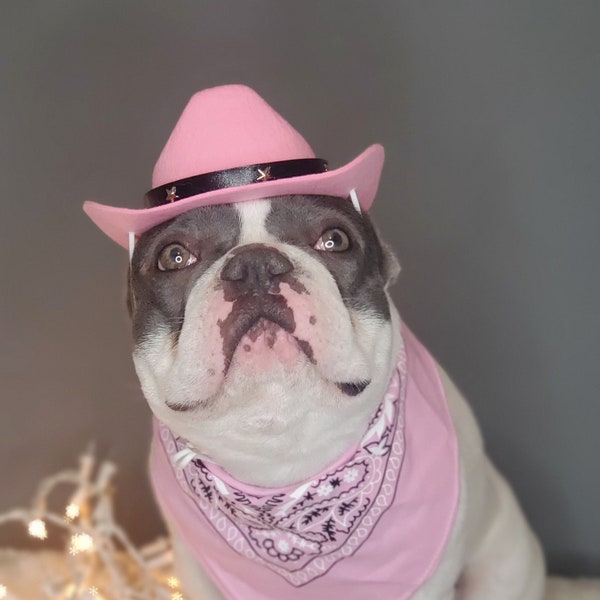 Cowboys  hat   for large dog /Dog costume /Frenchies cowboy hat /
