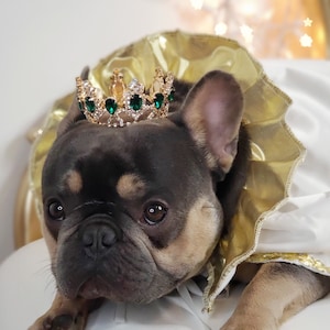 Dogs costume /Gold color Crown   for dog or cat /Princess dog crown / Crown for dog /Princess crown/Dog costume/