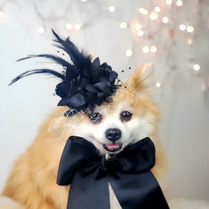 Elegant hat with   feather and   flower for dog or cat /Hat for small pet /Costume for dogs/