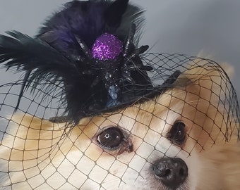 Mini sombrero de color negro con plumas y araña para perro o gato