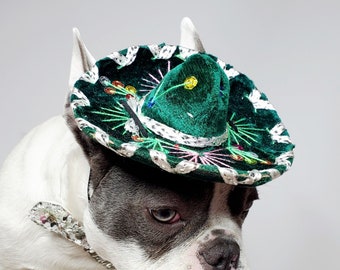 Set listing Cute sombrero hat  green  color and  bow tie for dog or cat