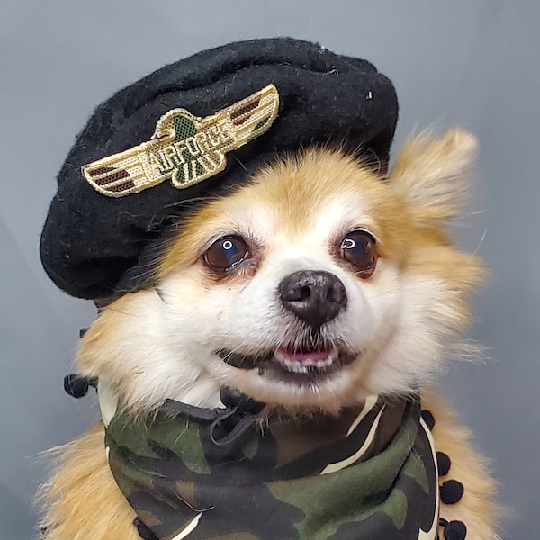 Army Set  black color  hat and bandanna scarf set for dog or cat