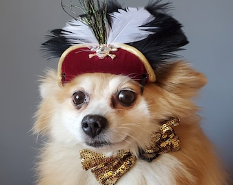 Pirate hat for dog or cat with feather / Dog costume /Cat costume /Halloween pet costume /Pirate pet costume /