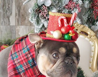 Christmas  hat red  color for  pets   /Christmas costume/Christmas dog hat /