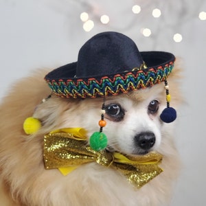 Set listing Cute sombrero   hat  and  bow tie for dog or cat