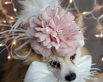 Elegant hat with   feather and   flower for dog or cat /Hat for small pet /Costume for dogs/