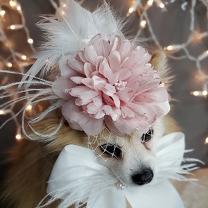 Hat for dogs /Elegant hat with   feather and   flower for dog or cat /Hat for small pet /Costume for dogs/