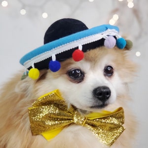 Set listing Cute sombrero   hat  and  bow tie for dog or cat