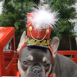 May include: A French bulldog wearing a red and gold toy soldier hat with a white feather on top. The dog is sitting in a red toy wagon with a white wooden slat.