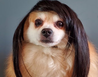 Pet   wig black  color  for dog or cat