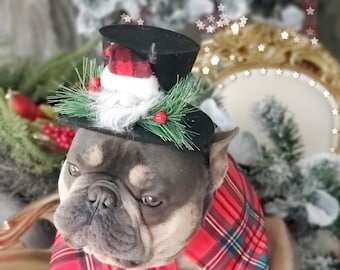 Christmas  hat black color for  pets   /Christmas costume/Christmas dog hat /