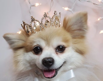 Set Listing  Silver color crown   with white  collar tie for dog or cat /Princess set/