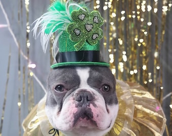 Saint Patrick's Day Pet  Hat /Irish Top Hat for Dogs /Felt Derby Pet  Hat / Small animals Hat/