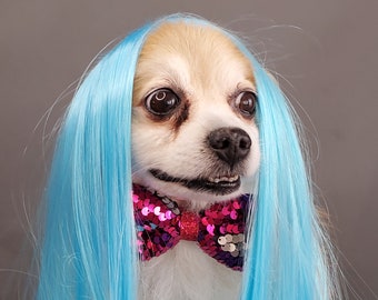 Pet   wig blue color long hair   for dog or cat / Halloween  pet costume / Dog costume / Cat costume /