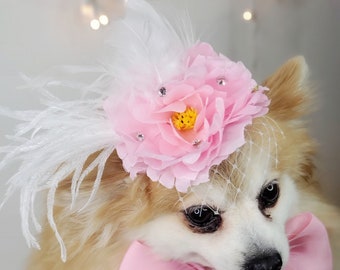Chapeau élégant avec plume et fleur pour chien ou chat /Chapeau pour petit animal de compagnie /Costume pour chien/