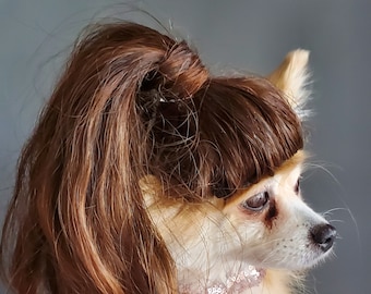 Pet   wig  brown color  for dog or cat / Pony tail wig / Halloween dog wig /