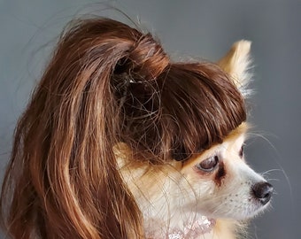 Pet   wig  brown color  for dog or cat / Pony tail wig / Halloween dog wig /