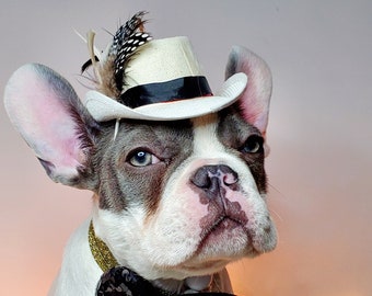 Cowboys  hat white color  for dog or cat/Halloween costume/Dog costume /Pet costume