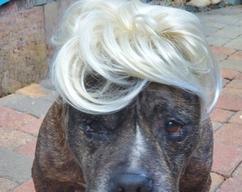 Perruque de couleur blonde de grande taille pour grand chien/Halloween/costume/