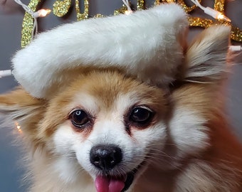 May include: A small, fluffy, light brown and white dog wearing a white Santa hat. The dog is looking directly at the camera with its tongue sticking out.
