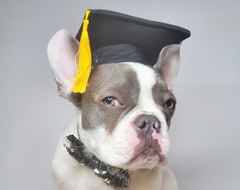 Black color Graduation pet hat /   Graduation dog hat/ Graduation  cat  hat/Small Graduation hat /