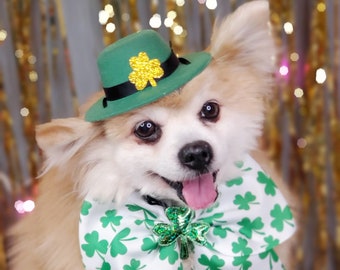 Saint Patrick's Day Pet  Hat /Irish Top Hat for Dogs /Felt Derby Pet  Hat / Small animals Hat/