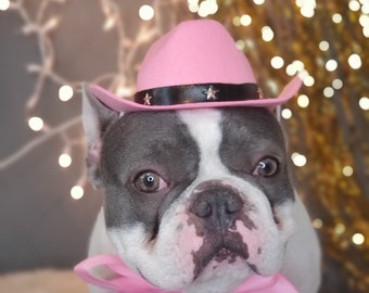 Cowboys  hat   for large dog /Dog costume /Frenchies cowboy hat /