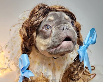 The Wizard of Oz Dorothy Brown color pet wig/Dorothy dog wig/Dog costume /