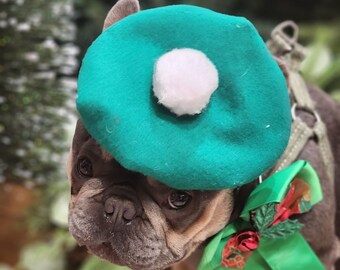 May include: A French Bulldog wearing a teal beret with a white pom-pom and a green bow with red accents. The dog has a gray and brown coat and is looking at the camera. The background is blurred with green foliage.