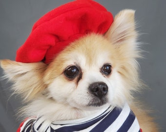 Set Beret  hat red color  with bandana scarf for dog or cat  Small animal Doll