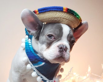 Set  sombrero hat  and bandanna scarf     for dog or cat /Halloween pet costume/