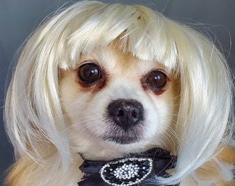 Blond  color  wig   for dog or cat// Halloween//small pet/Dog costume /Cat costume /