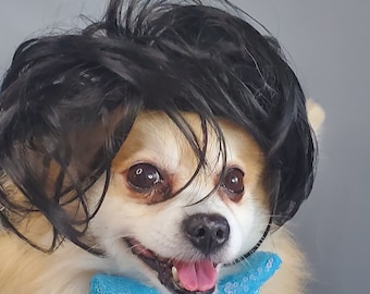 Black   color  wig   for dog or cat/Halloween/costume/Dog  costume / Cat costume / Pet costume /