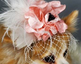 White color    hat with   feather and   flower for dog or cat