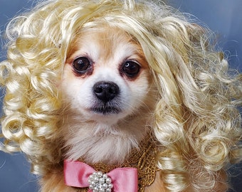 Pet   wig blond  color  for dog or cat/Halloween dog wig /Halloween costume dog wig /Dog costume/