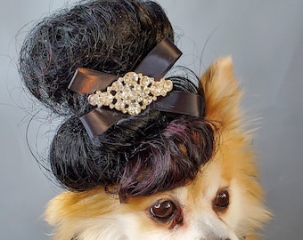 May include: A small dog wearing a black and white beaded collar and a black wig with a rhinestone hair clip.