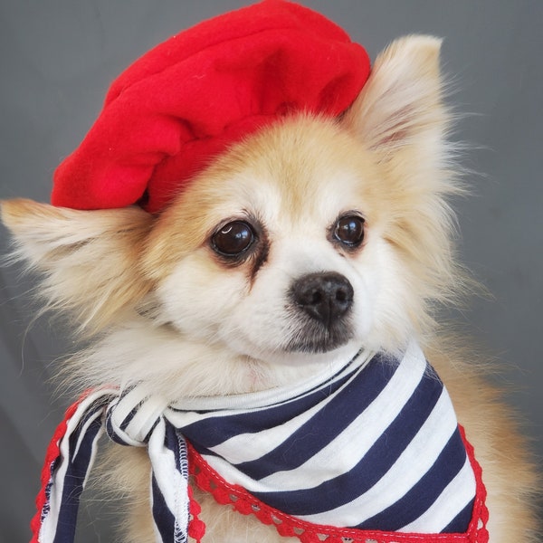 Set Beret  hat red color  with bandana scarf for dog or cat  Small animal Doll