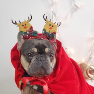 Christmas headband for pets /   Dog costume/Christmas petcostume/