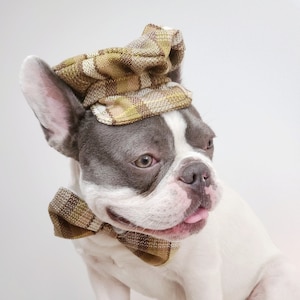 Dog tweed cap online